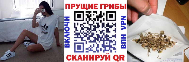 Галлюциногенные грибы прущие грибы  Лабинск 